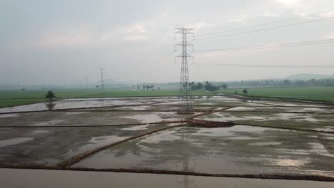 Fly-toward-electric-tower-in-muddy-wetland-paddy-field.